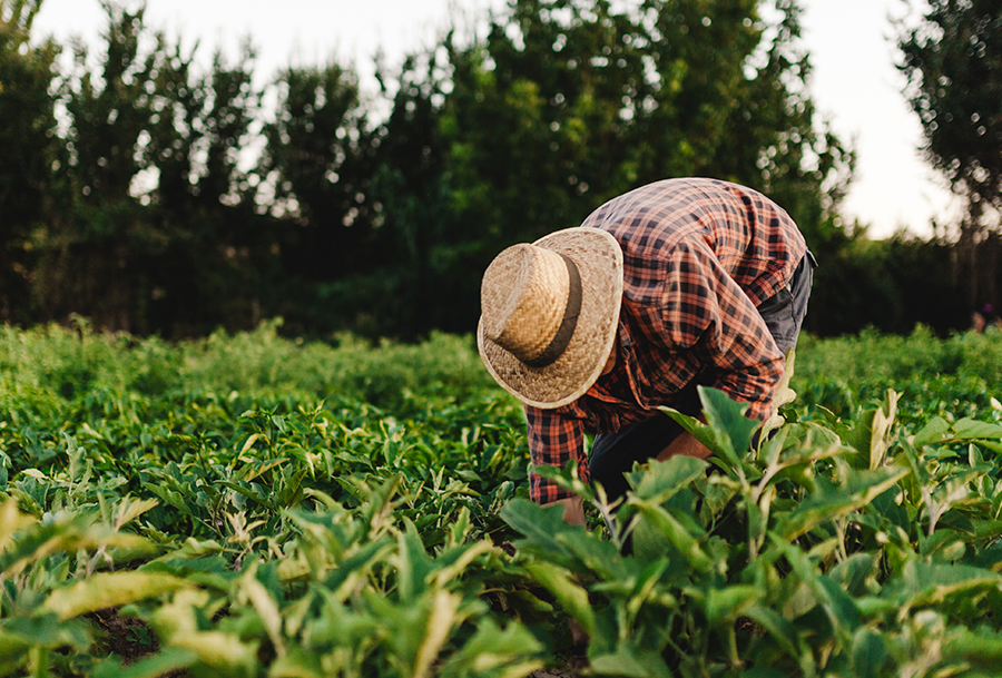 Incra abre seleção para substituição de lote no PA Maisa, com possibilidade para famílias de Tibau